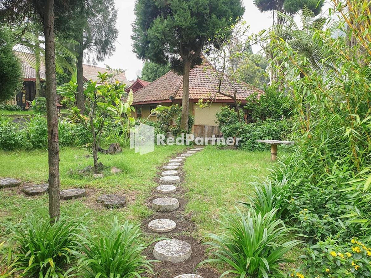 Hotel Yoschi'S Bromo At Desa Wisata Bromo Ngadisari Екстер'єр фото